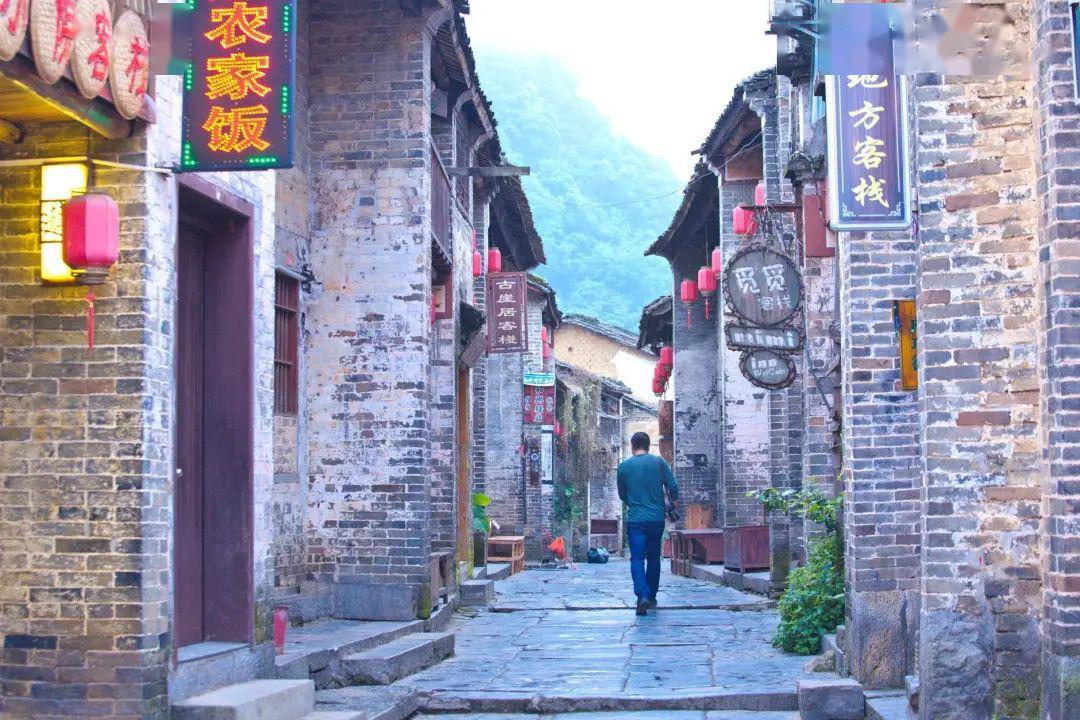 救援小棕兔